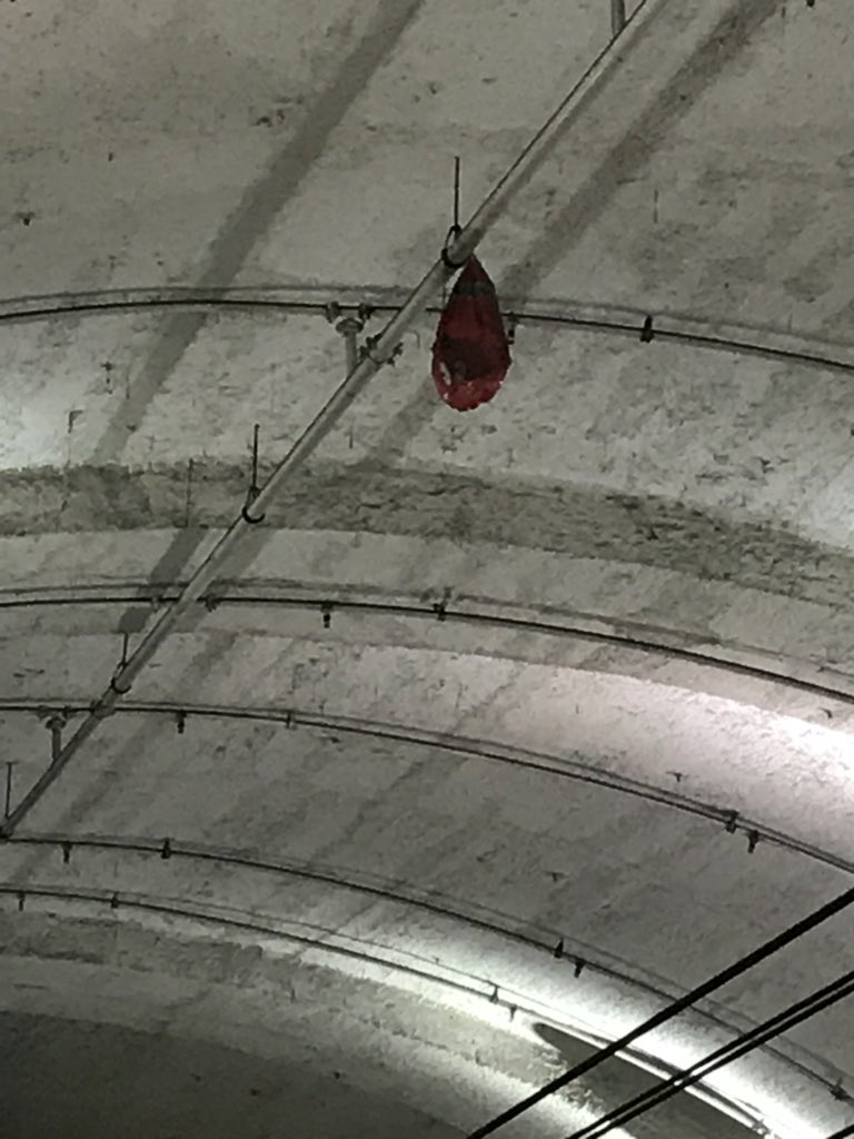 fracarboni's tweet photo. All’inizio mi sembrava un prosciutto appeso 😂😂😂😂#Termini #lineaB @InfoAtac @AtacNews https://t.co/wrYscWgwWu