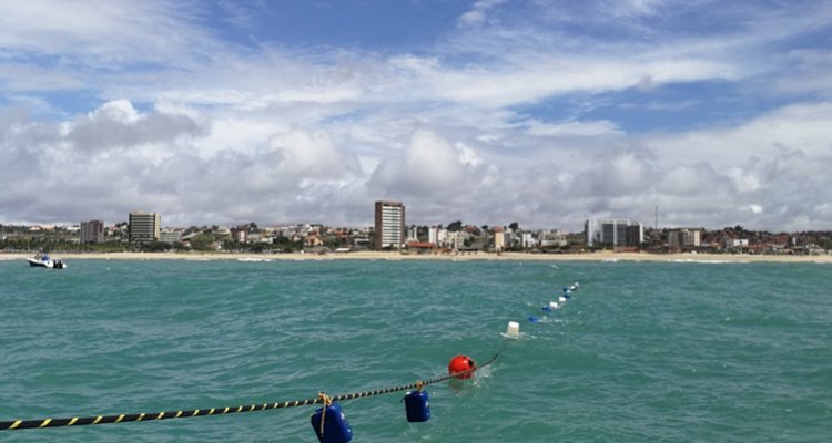 metacomchile's tweet image. Instalan cable submarino de fibra óptica entre Sudamérica y África: tiene casi 6 mil km
bit.ly/2QHlAJo