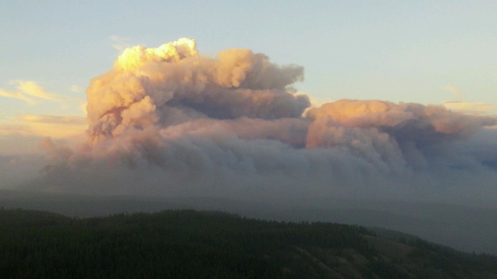 In 2015, the Grizzly Complex Fire burned 30,000 acres of Coeur D’Alene National Forest in Idaho, burning much of the white pine forests used by wildlife for critical habitat and food sources. We’re working with <a href="/Origins/">Origins</a> to restore these and other forests to health!