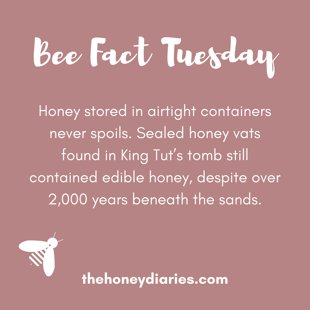 The food that (literally) lasts forever! 🐝🍯⏳