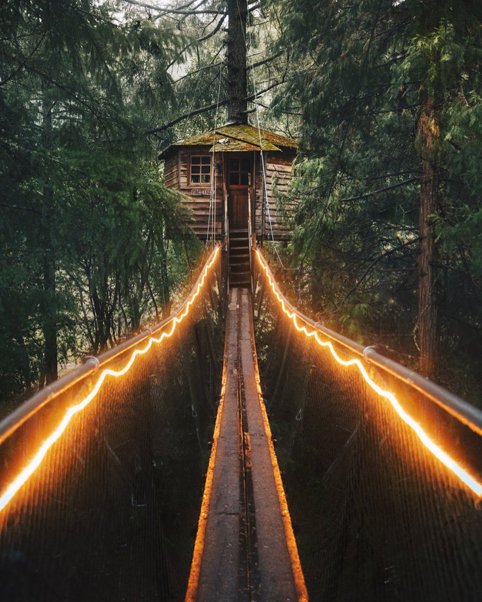 TravelVida's tweet photo. Treetop Getaway 🌳 https://t.co/z6U0amhOE0