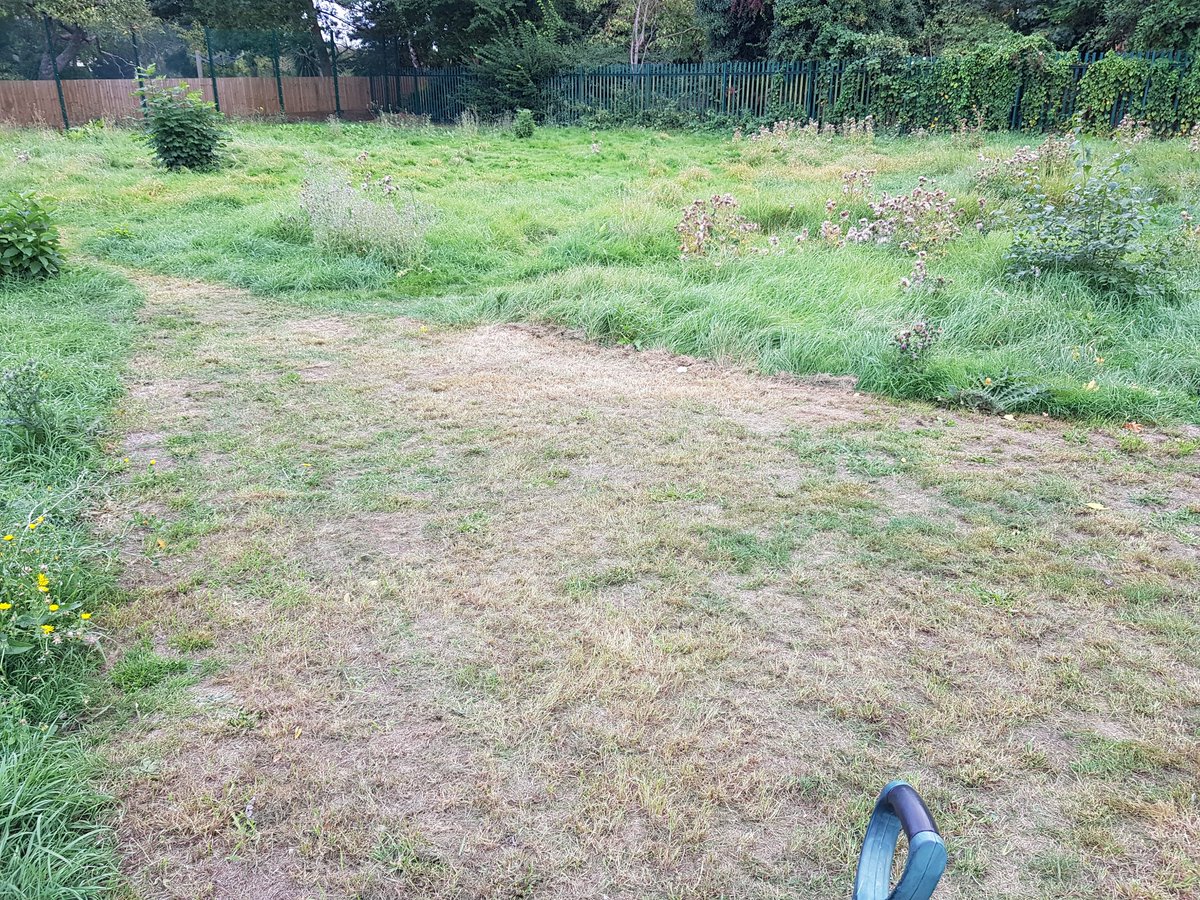 Caldecote_CE's tweet image. The Caldecote Pond Project is now in full force. Mr Pointon and his helpers blitzed it this afternoon #FriendshipForest #justkeepdigging