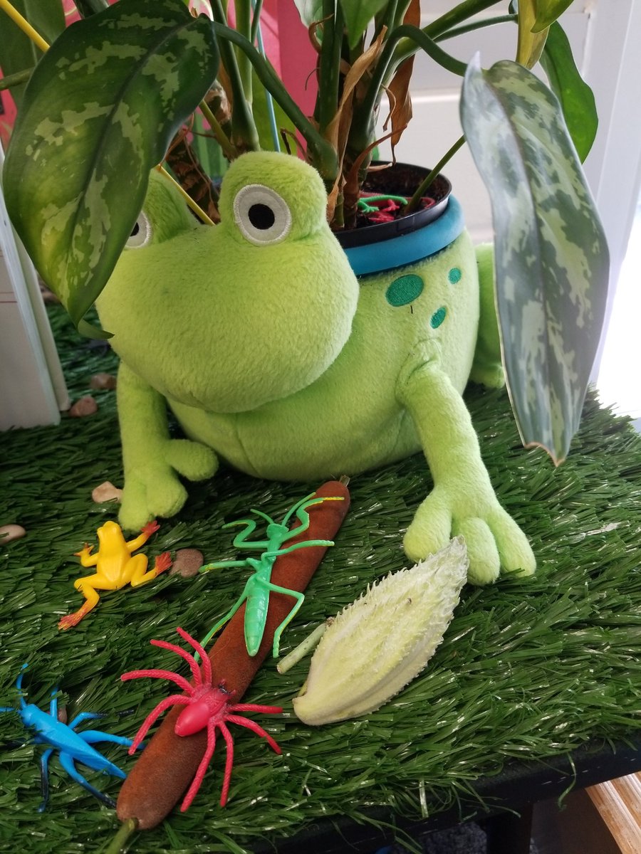 Tresnola's tweet image. Wonder items at our science table. @CountryDay @CCDdreamteam @CCDSEnvCouncil #engineeredforfun