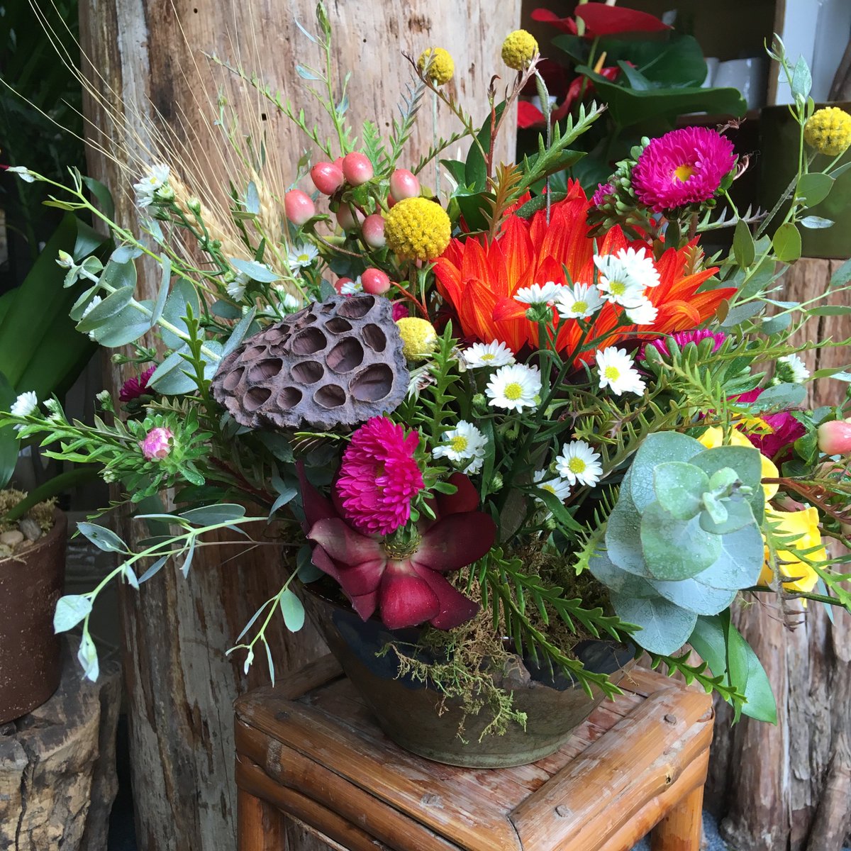 Enchanted Florist tweet media