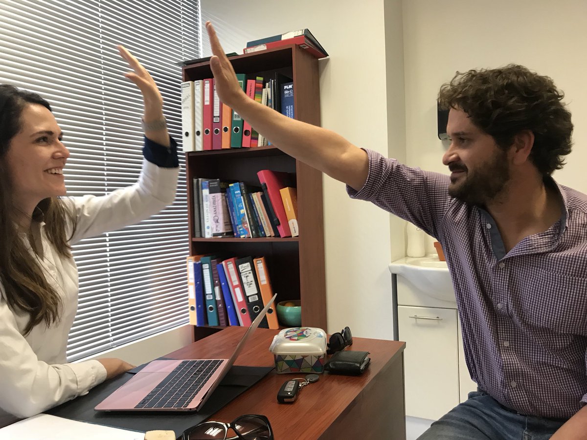 Luis Eduardo Vivanco tweet media