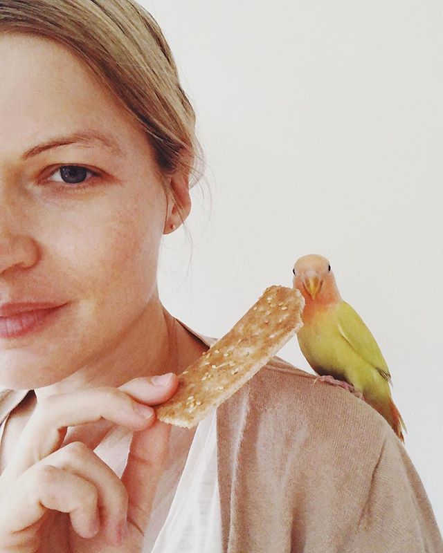 wendypolish's tweet photo. Sharing is caring ✨🥨🐤✨ .
.
.
#marvin_the_lovebird https://t.co/g1Sb3cuW4G https://t.co/ar2khMPReD