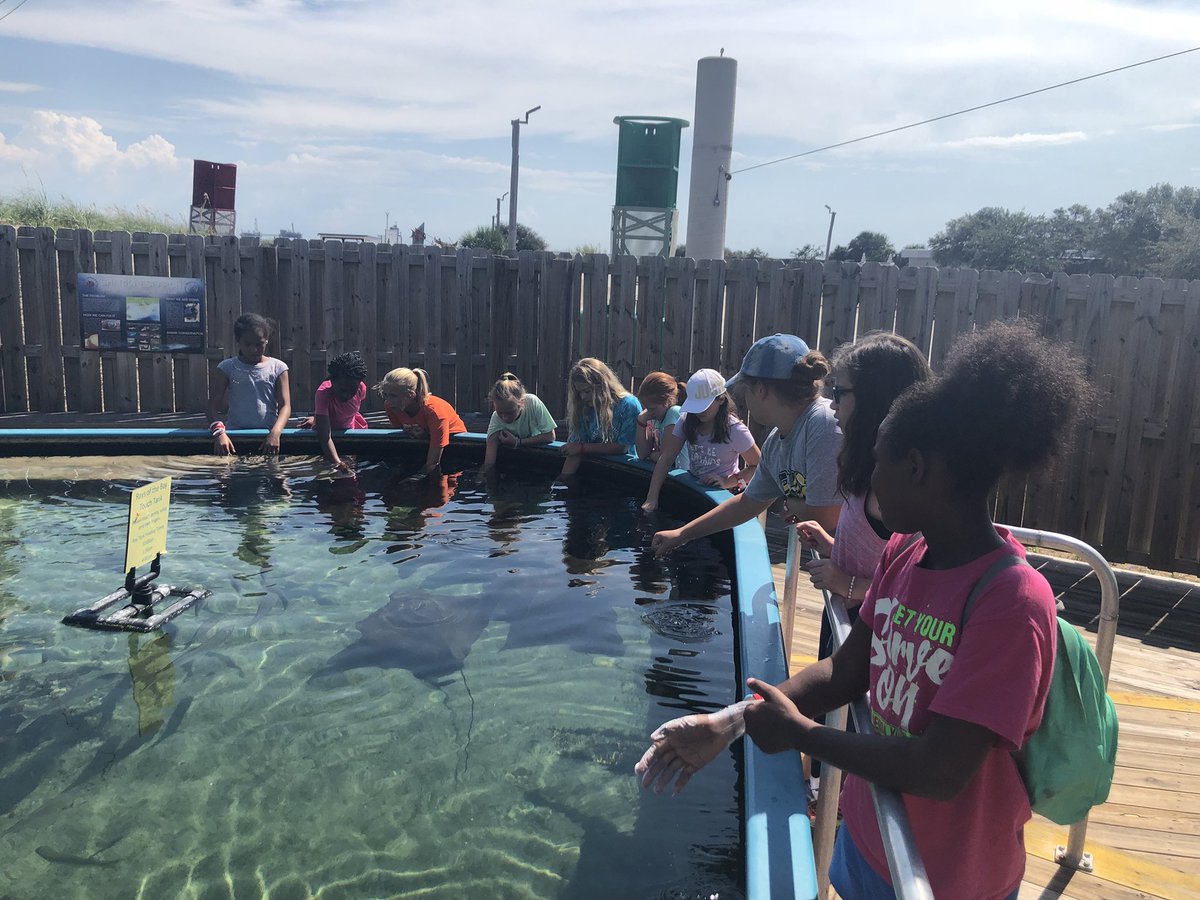 Anderson_beth81's tweet photo. Dolphins gave us a good show, and then we enjoyed the sights at the aquarium! #AISDauphinIsland #AISProud https://t.co/XyHIeSvHAG