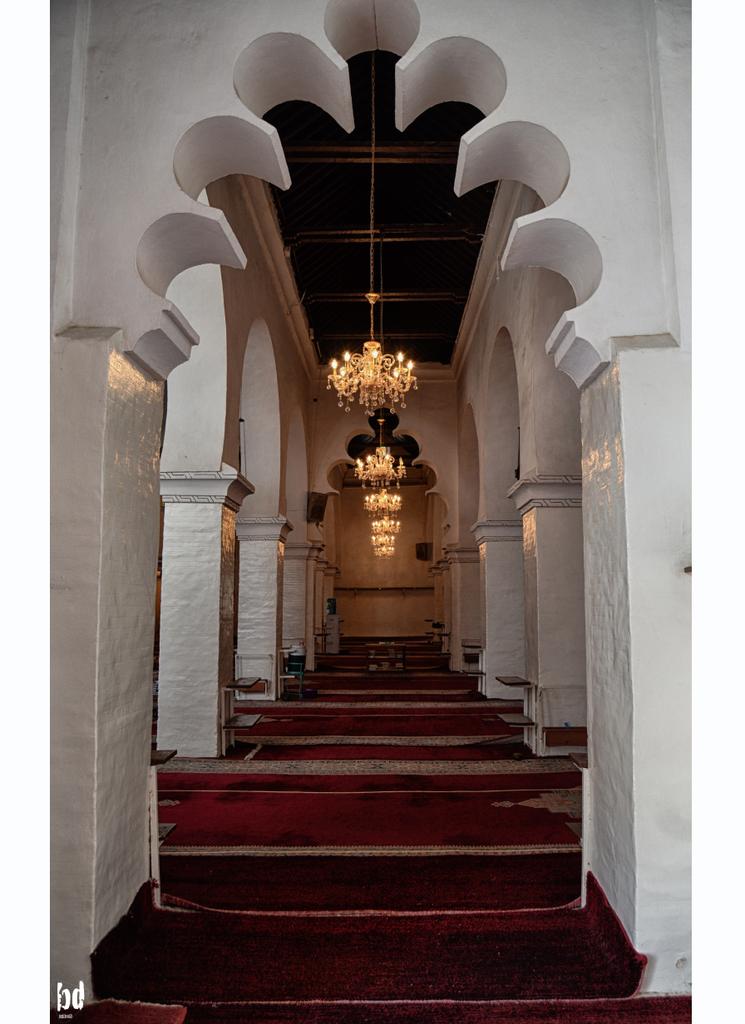 dourach21's tweet photo. Mosque in algeria 
.
.
.
.
.
.
.
.
.
#mosque #architecture #mosques #islam #mosquesofworld #adventure #algerianarmyslovebts #travel #beautiful #muslim #love #beautifulmosque #photography #grandmosque #mosquee #view #cami #mezquita #minaret #Algeria https://t.co/6QeFX1yCTt