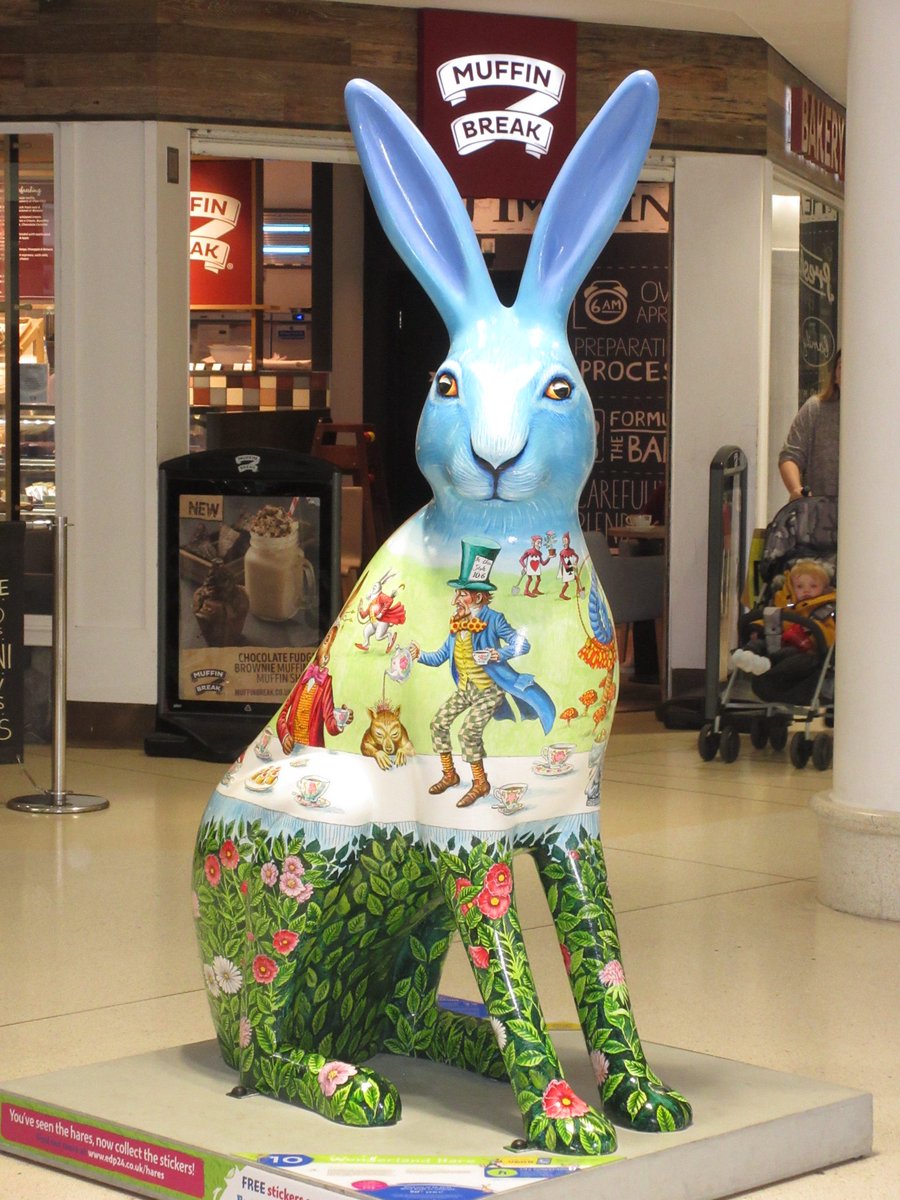 Alex 📷 tweet media