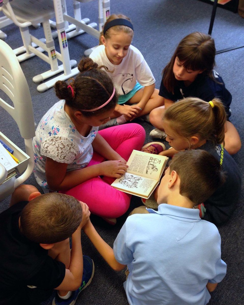 OLMStrong tweet media