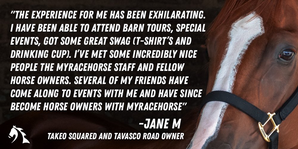 MyRacehorse's tweet photo. 👇 👇 👇  #MyRacehorse https://t.co/3XhCDTFzOn