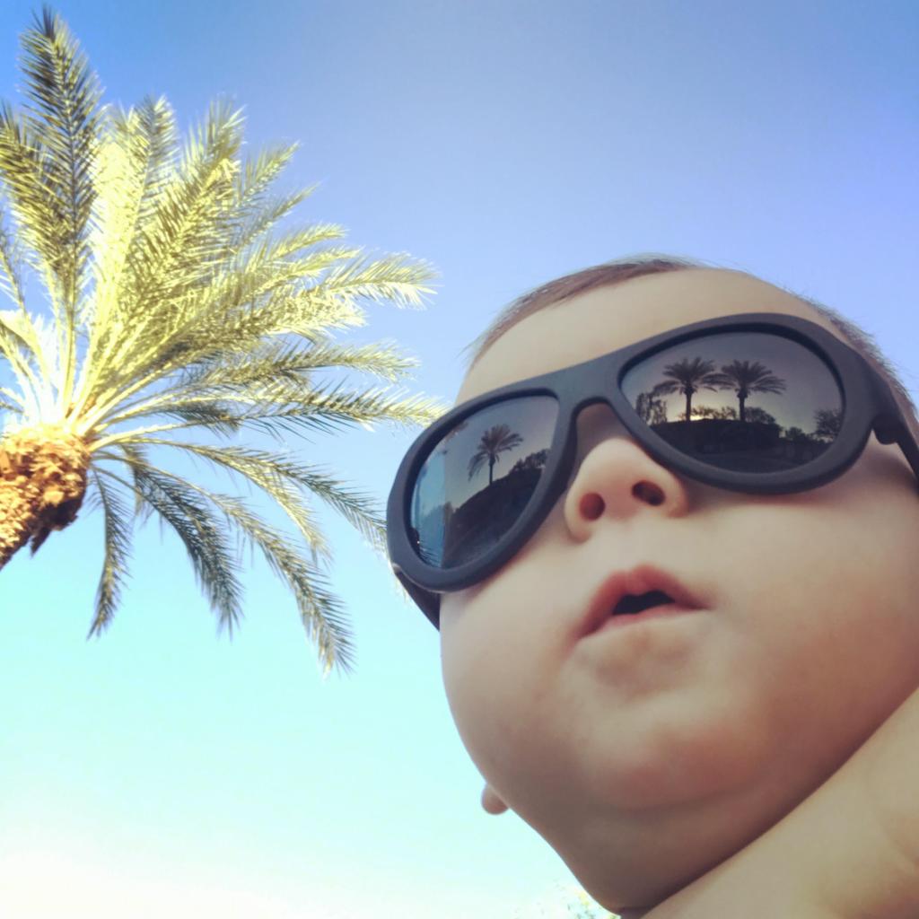 AZDHS's tweet photo. We wish Finn all the best as he celebrates his retirement from our #InfantatWork program! This special program allows infants up to six months old to come into work with their mom, dad or caregiver. Learn more about it: https://t.co/bbCi077XO0 #happybabies = happy employees https://t.co/FbM6CgP1CT