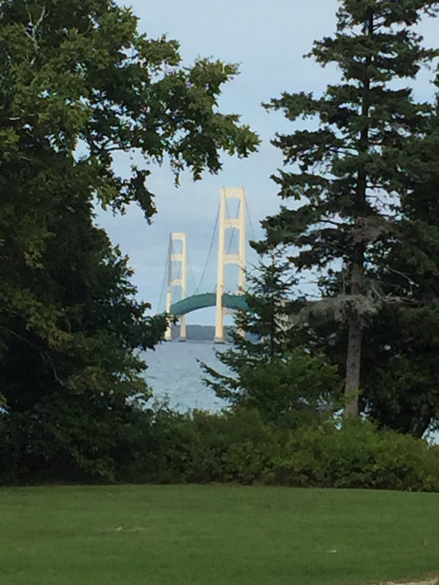 Phyllis Schoenholz tweet media