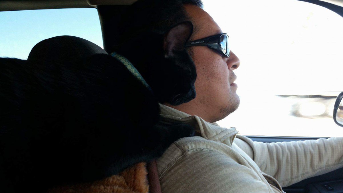 AnimalsForArmedForce tweet media