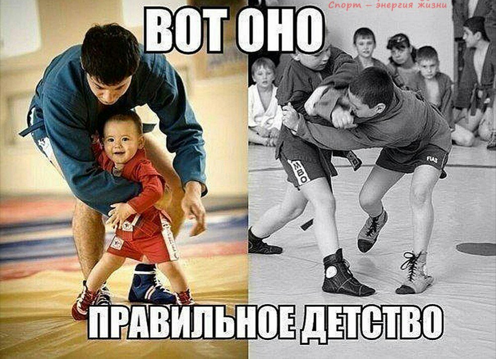 Смешные картинки самбо