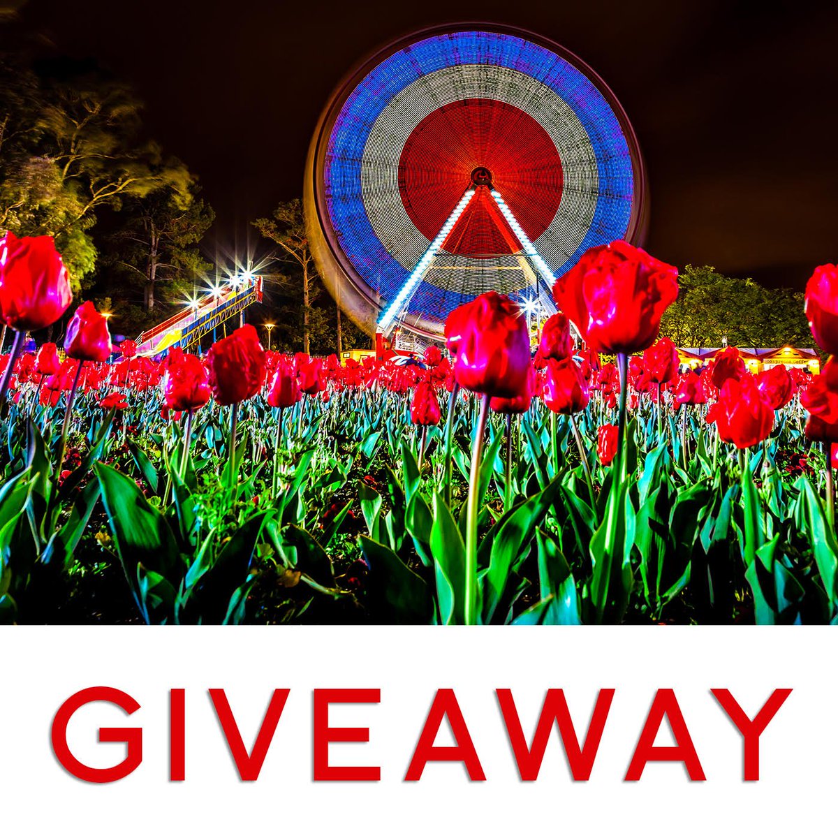 #GIVEAWAY! 

Are you living in or around #Canberra? Then you’re in luck! We’re giving away a FREE pair of tickets to each NightFest event during this year’s Floriade celebrations! 

Check out our Facebook page for all the details. bit.ly/2phLiYj

<a href="/EventsACT/">Events ACT</a>