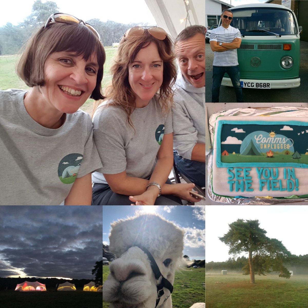 BLOCKCHAIN RECLAIM 🏆🏅 tweet media