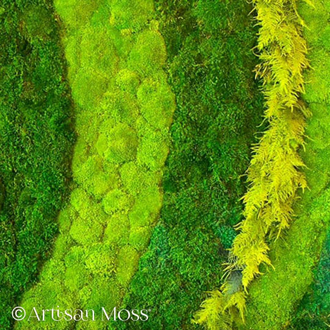 ArtisanMoss's tweet photo. Color hues, texture, volume, and curved forms create interesting visual transitions within a graphic Artisan Moss Plant Painting.
#plantart #gradationart #visualtechnique #plantdesign #mossart #greenart #spatialdesign #oneofakind #madebyhand #customdesign #artisanmoss https://t.co/Ol92XtbtzU