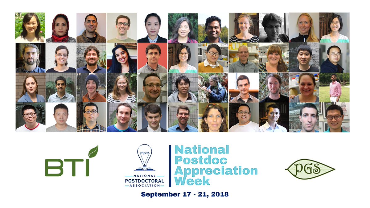 BTIscience's tweet photo. These are the #BTIscience postdocs that put in countless hours in pursuit of discovery science. We're proud of their contributions to the research community and we thank them for making BTI a leader in the life sciences. #postdocappreciationweek #NPAW2018 https://t.co/tliRifr4SA