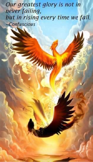yedincideniz's tweet photo. #fallinstar pozu Da neymiş ? Ben yapsam yapsam düştüysem kalkarım, küllerimden yeniden doğarım pozu yaparım 😊🦅 https://t.co/BPuX3xfhhA