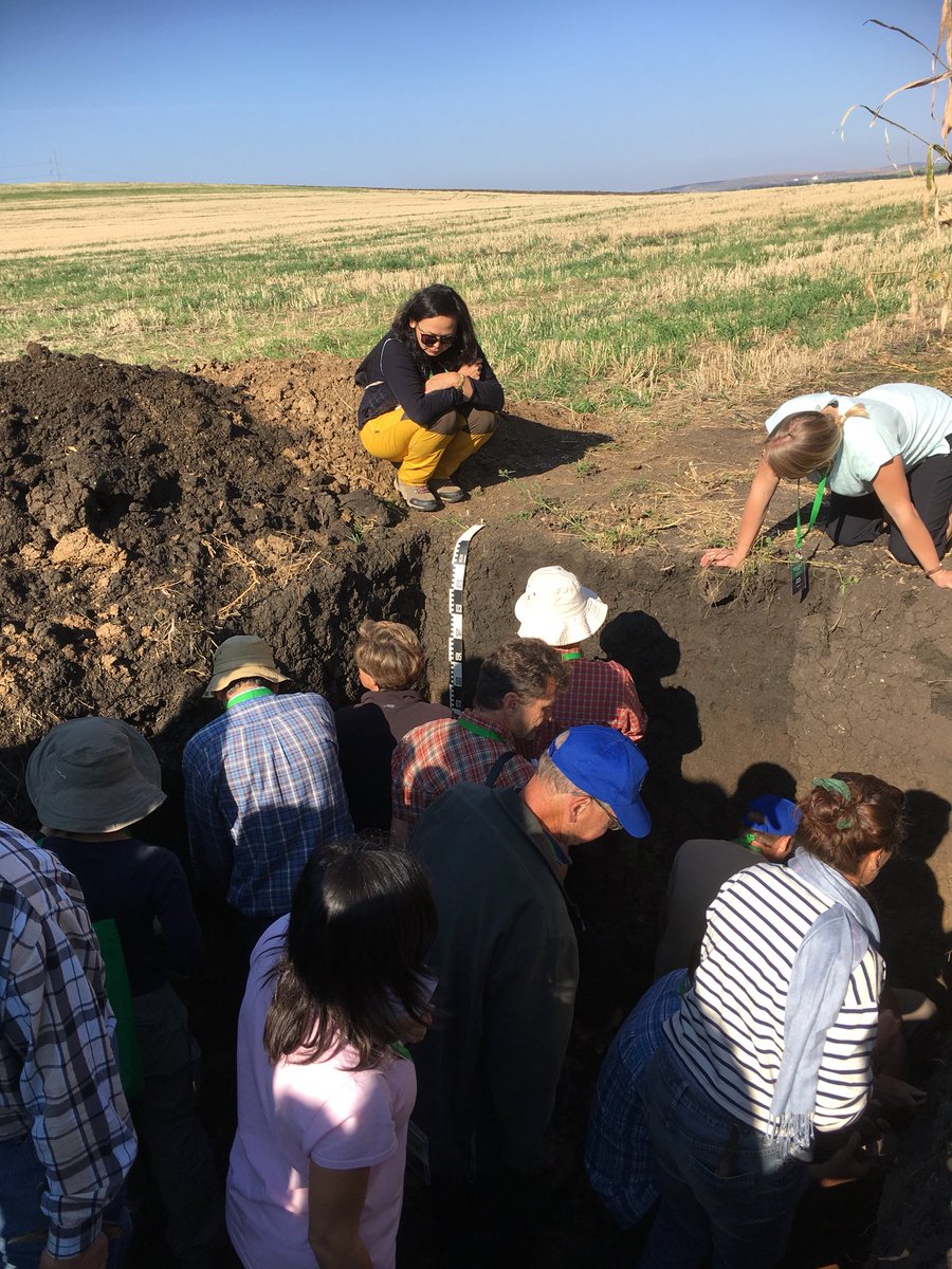 WRB2022's tweet photo. Romania-day 2: WRB field tour Transylvania, profile 6: 
Another black soil: A (ploughed) Chernozem. Full name:
Calcic Chernozem (Aric, Pantoclayic, Pachic)
#WRB2015 #soil #classification #Chernozem #Romania https://t.co/lxUjzC1pKV