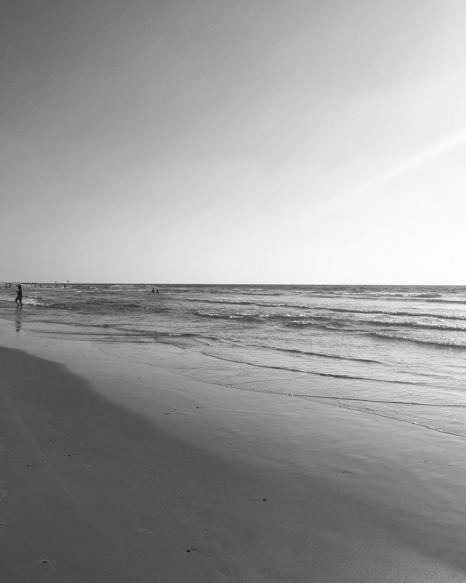 KirschNeta's tweet image. #creampuff #creampuffs #earpers #loveislove