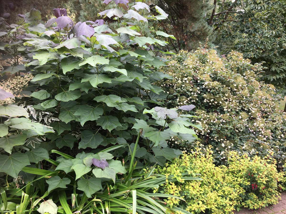 Harvey Stephens tweet media