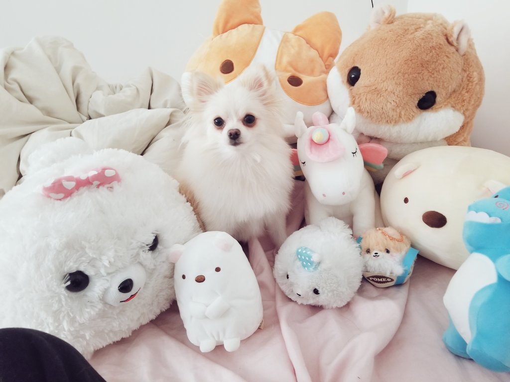 i love plushies
