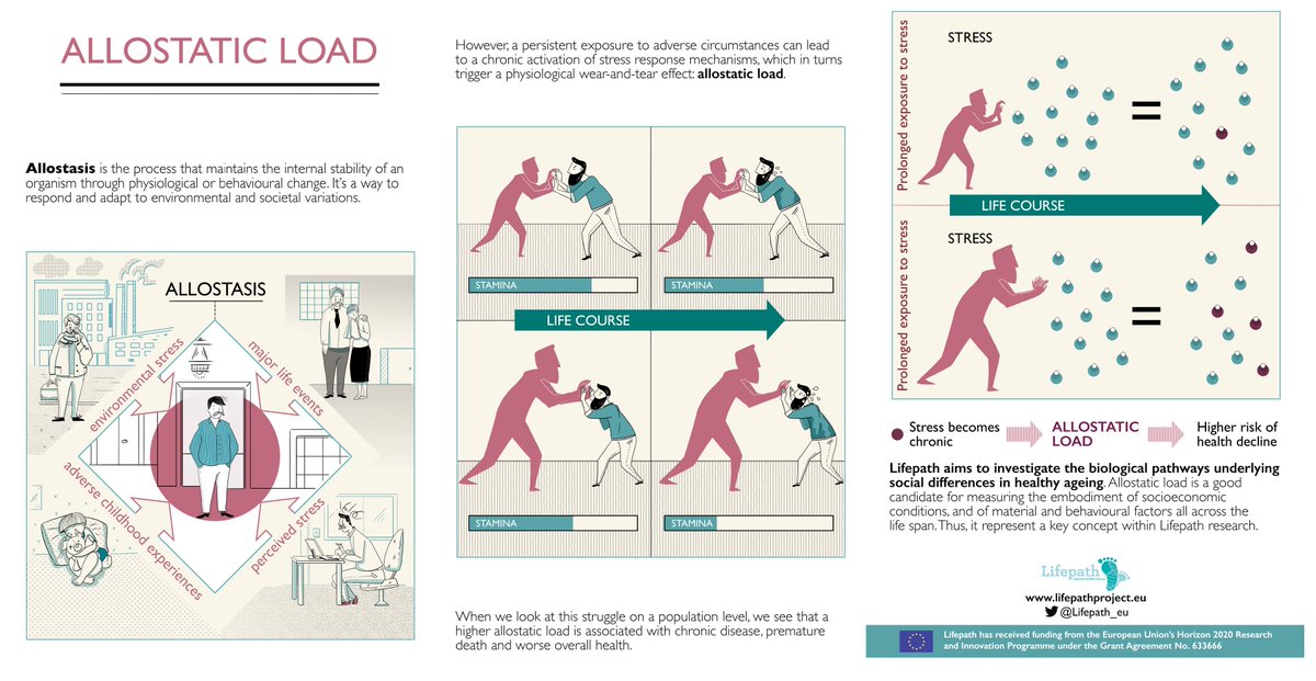 Lifepath tweet media