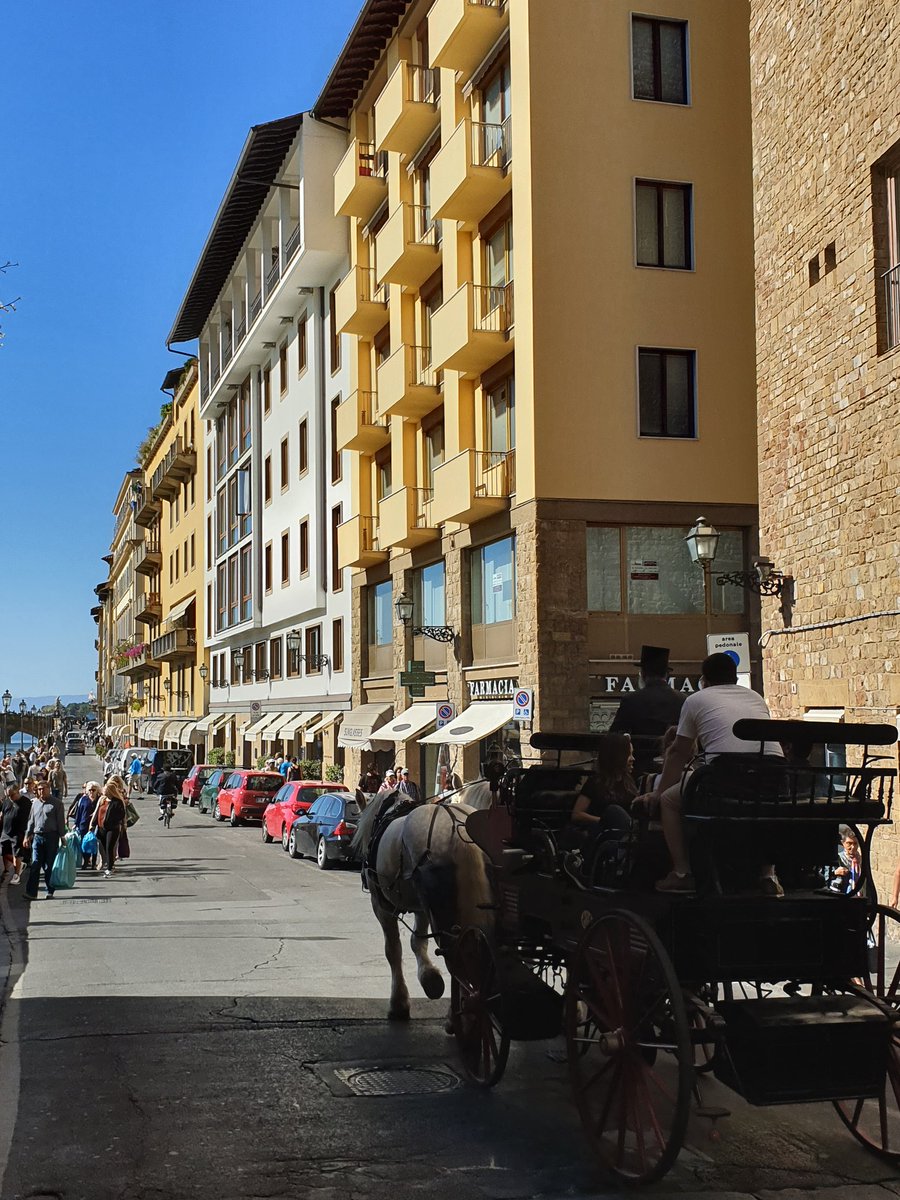 ZedStar5's tweet photo. FLORENCE
Started off with a nice day in the pool followed by a tour of this beatuiful city... https://t.co/LwlJEtDoNZ