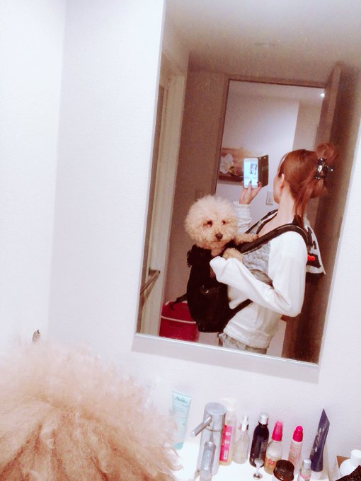 届いた^ ^ そして私風邪ぎみ🤧 https://t.co/ZILi4dM5TL