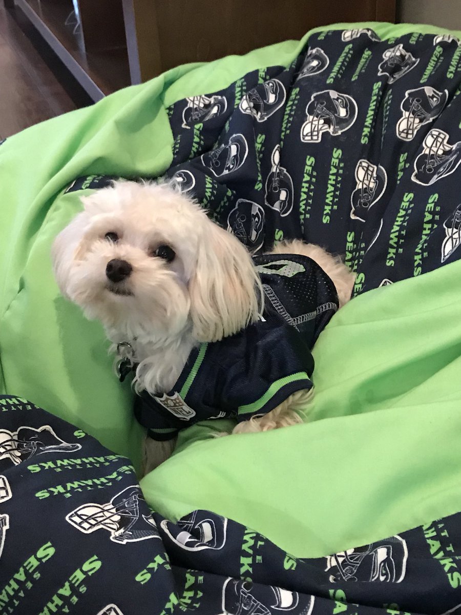 VancouverShap's tweet photo. @Seahawks https://t.co/aq0PgJCTB8