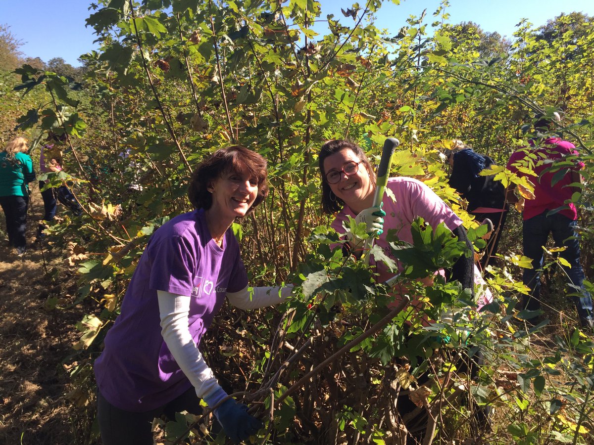 pdelaux's tweet photo. Superbe journée DSP avec #AXAAtoutcoeur et l’#OMF nettoyage  de haies pour mieux préserver l’habitat des oiseaux qu’on pourra venir écouter au printemps ! https://t.co/jwAr5m7j5w