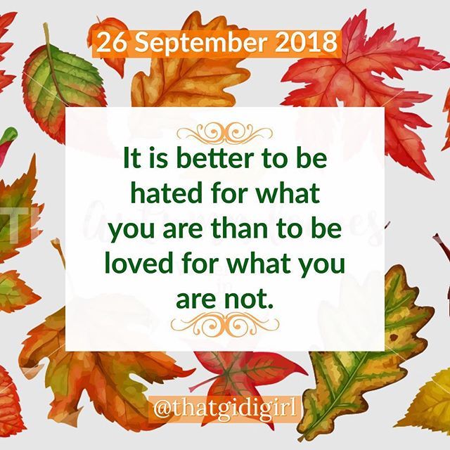 thatgidigirl's tweet photo. It is better to be hated for what you are than to be loved for what you are not. .
Good morning beautiful people!
.
.
#thatgidigirl #bereal #beyou #beautifulpeople #ownit #happystate #love #inspiration #inspirationalquotes https://t.co/zk0ZgkvMre https://t.co/gKvRUITlxI