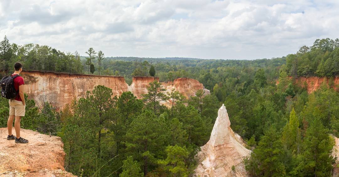 Explore Georgia tweet media