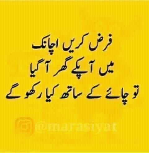 Nadeeem207's tweet photo. https://t.co/01zMAfrxQb