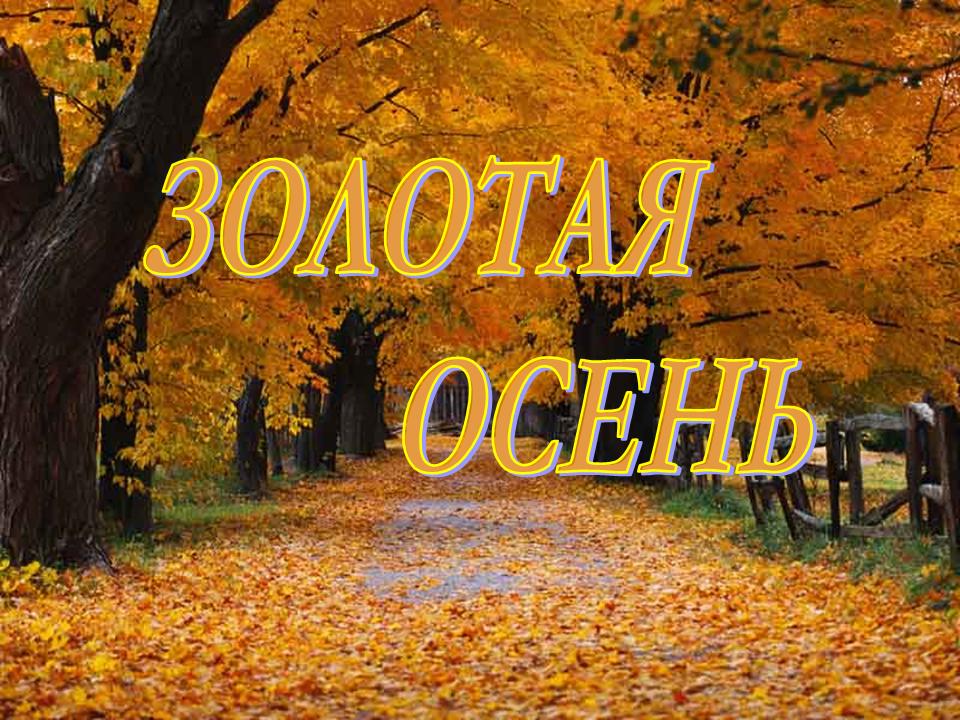 Картинки на тему осень с надписями, картинках букет роз