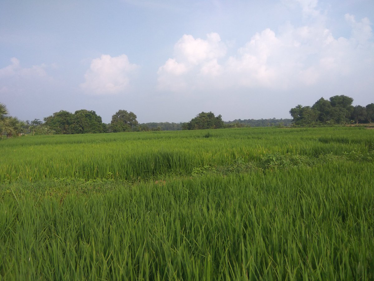 TsidcK's tweet photo. Irrigated ayacut under Pusuguppa LI Scheme https://t.co/AEuomwMx54