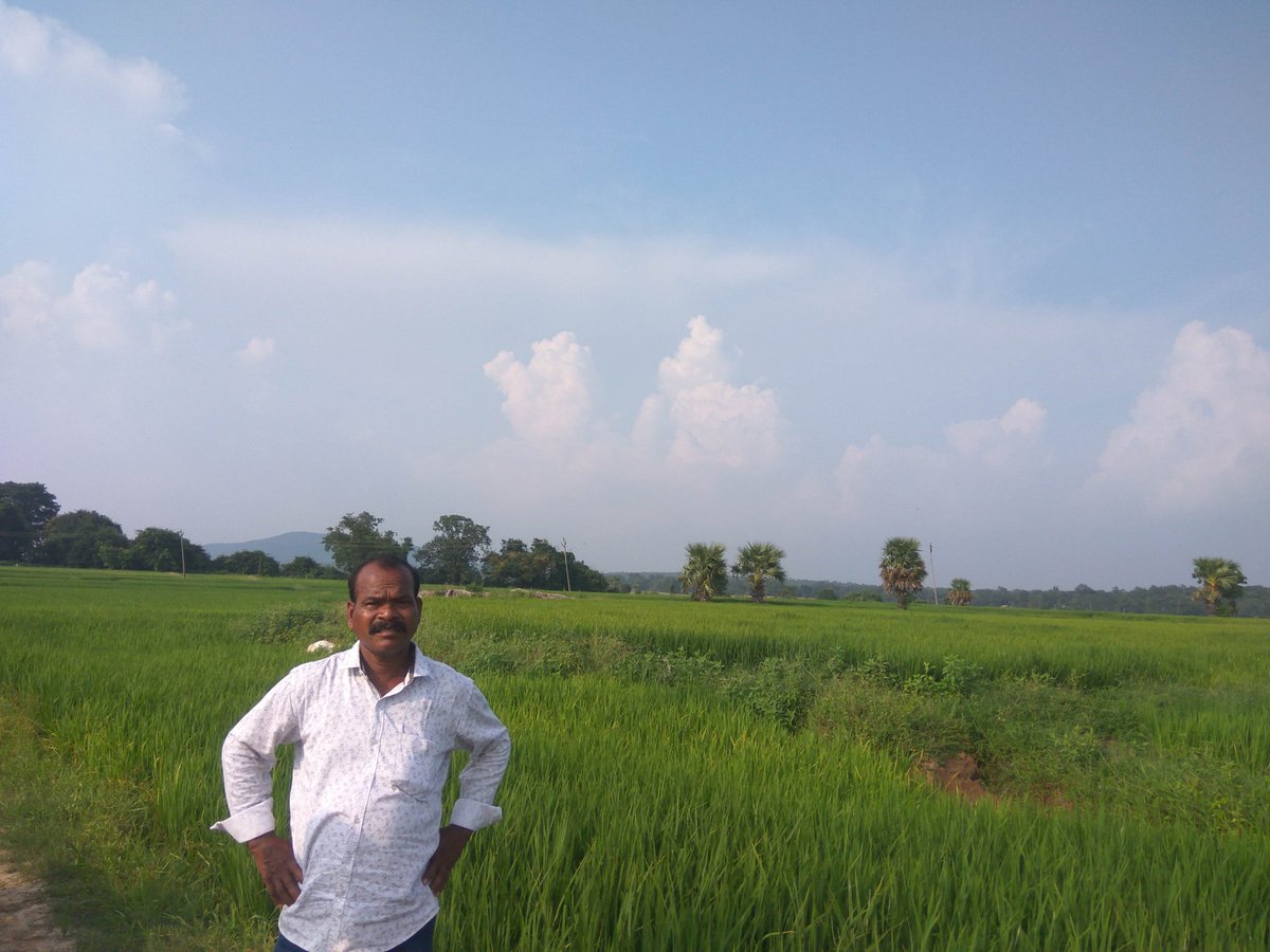TsidcK's tweet photo. Irrigated ayacut under Pusuguppa LI Scheme https://t.co/AEuomwMx54