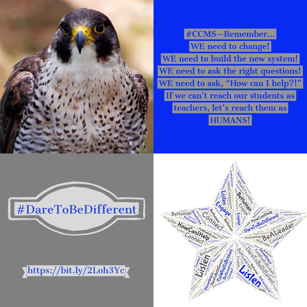 DrRackleyCLSD's tweet image. Powerful lessons learned #FixTheSystem #WeAreTheSystem #WeNeedToChange #BeHuman #ServeOthers #DareToBeDifferent #Listen #MakeConnections #RelationshipsMatter #FindWaysToSayYes #StudentsFirst #CultureMatters #TakeAnInterest #HowCanIHelp #BeBrave #LeadWithPurpose #RememberYourWhy