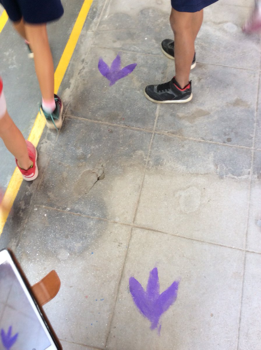 TBSYear3's tweet photo. There have been some strange goings on around TBS in the night - footprints, missing pets, burn marks on trees and scratches all over! Is it true? Are there dragons in Patan? @TBSPriEnglish @Talk4Writing https://t.co/dtPeQW0QDu