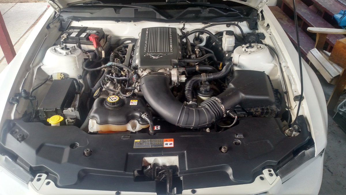4oR0ll's tweet photo. #V8 #fordpowered #Mustang https://t.co/2CVIlF1H5a