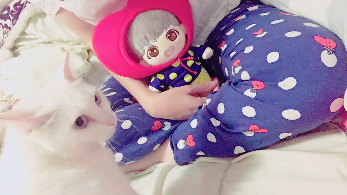 starlighttale's tweet photo. We are ready to sleep 😊 ~ 
태태 &amp; 타타 ✨ https://t.co/PGRLY63vOE
