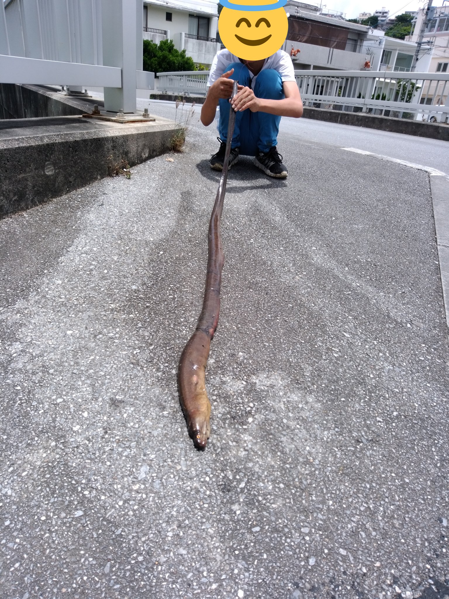 いらむし Tlで汽水ウツボが流れてきて悔しいので 去年沖縄で採った世界最大のウツボの大型個体の写真でもあげておく こうでもしないと精神が T Co Elp7vid3ip Twitter