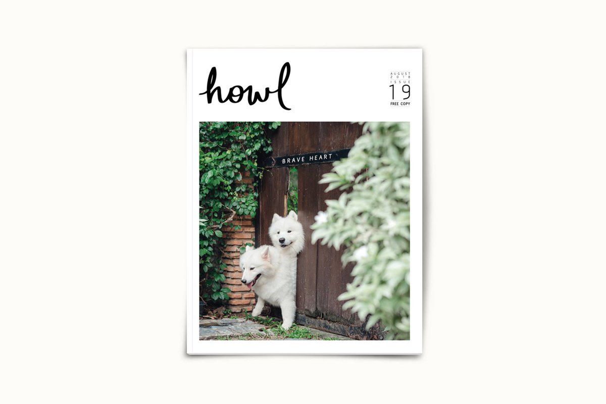 howlpublishing's tweet photo. ยังจำได้ไหมว่าตอนเด็กโตขึ้นอยากเป็นอะไร🐶👶
.
อ่านกันได้ที่ : https://t.co/yqOUIqIcwm
.
#howl19 #braveheart https://t.co/crAV6kZHP8