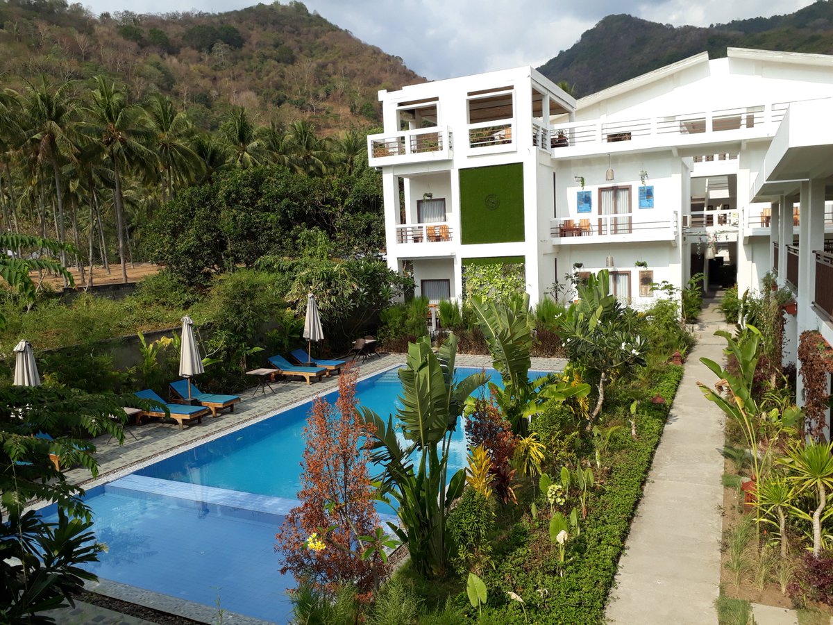 diva_resort's tweet image. The best place to hide from your daily activity....
Feel our fresh swimming pool and enjoy our meals..  @diva_resort 
#divalombok #lombokisland #bestpool #nicelocation #deliciousmeals #resort