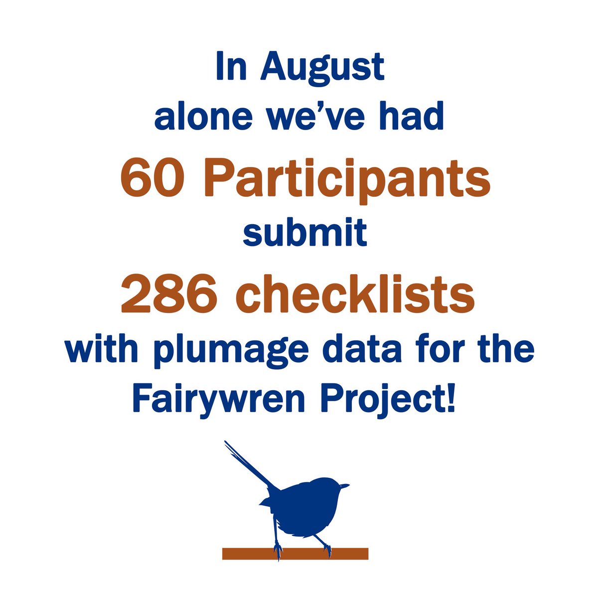 We are excited to announce that we have our first Fairywren Project data update! We launched the project in August 2018 and we’ve already had 286 eBird checklists submitted with plumage data by 60 participants! #CitizenScience #FairywrenProject