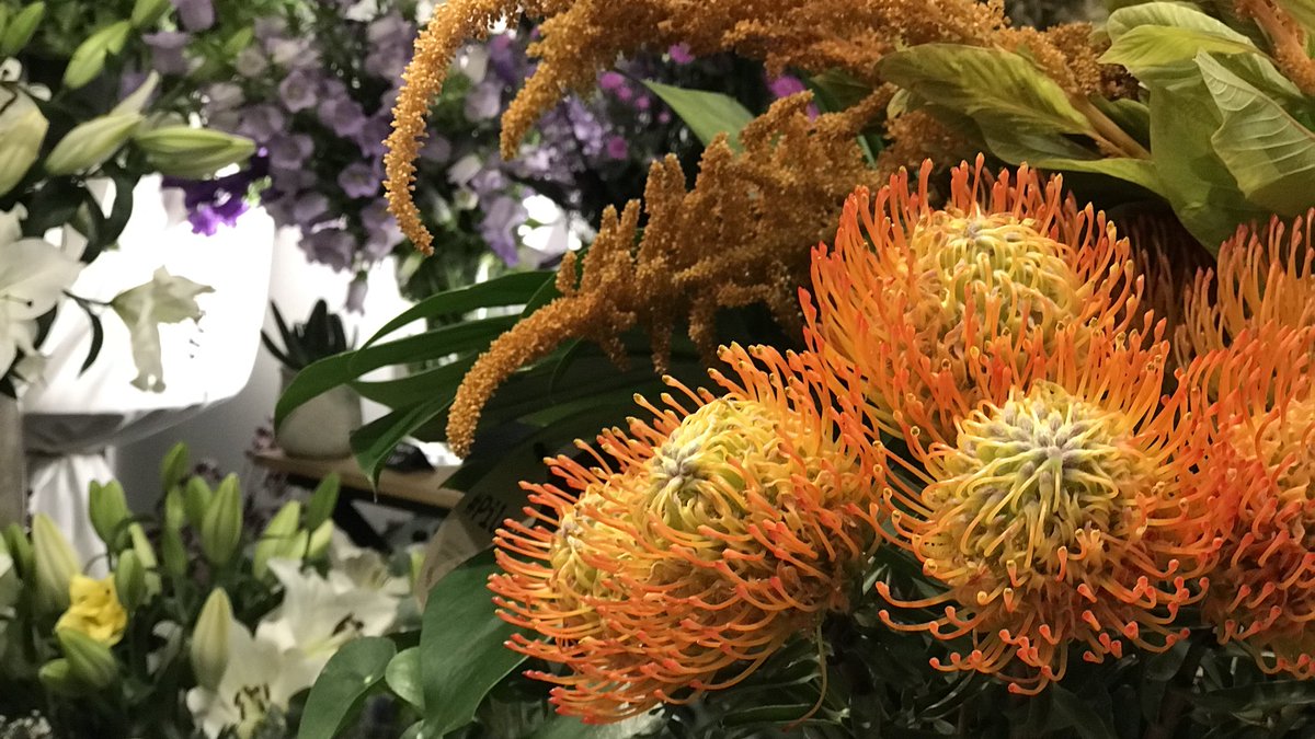 auque_vong's tweet photo. Couleurs d’automne #fleuriste #paris #30ruedecléry75002paris #auqueetvong #design #mariage #WeddingPlanner https://t.co/hmizfdUqA4