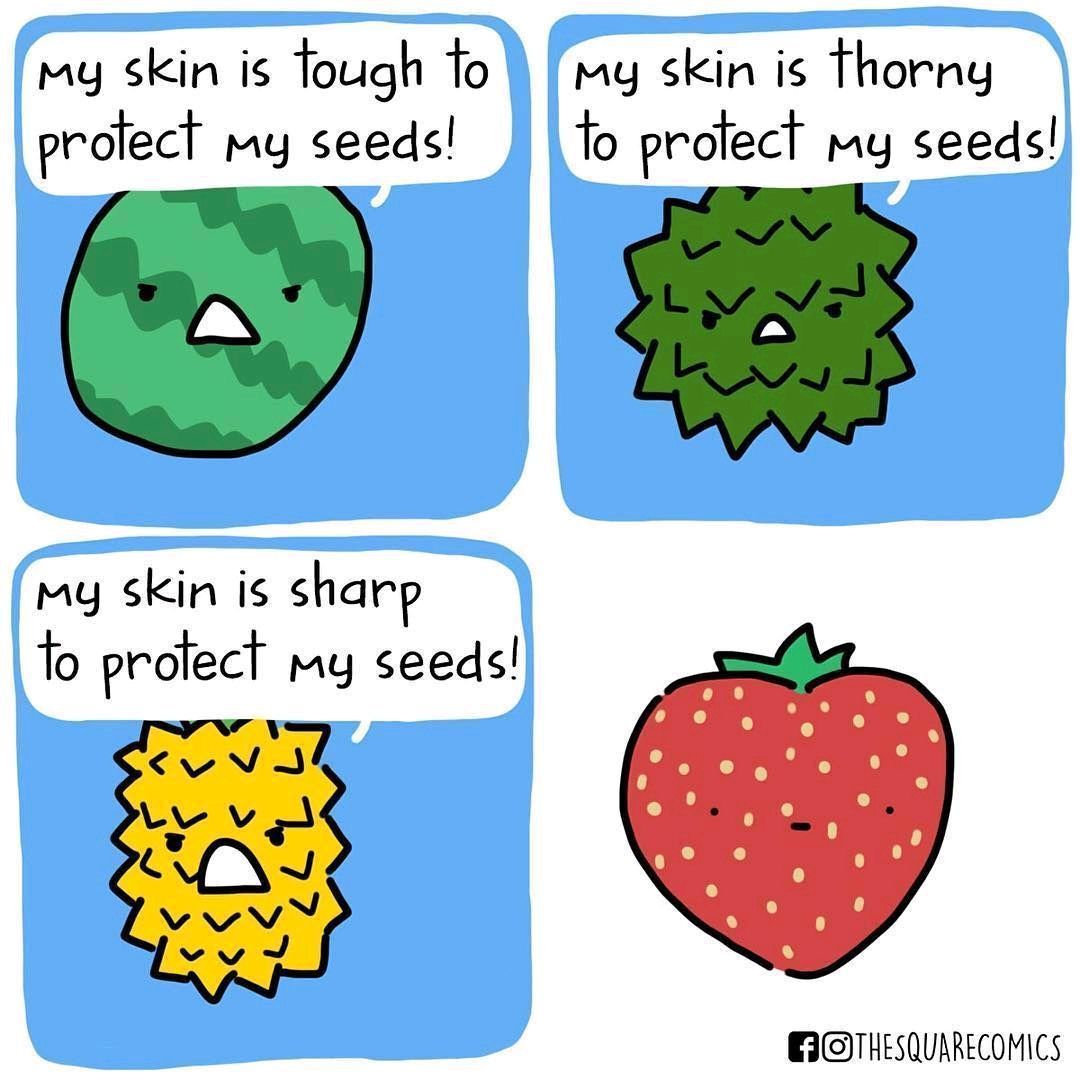 torieandhoward's tweet photo. Just a little fruit humor for your #candybreak🤓
Comic by The Square Comics #fridayfunnies #candybreak #fruitfunnies https://t.co/841PCbNnB3