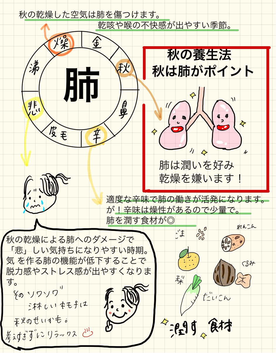 猪子英恵 体外受精の漢方 No Twitter 秋の養生は 肺 がポイント 肺は潤いが大好き 乾燥し始める秋は肺にダメージとなります 気 を作る肺の機能が低下する為 気力がなくなったり悲しい気持ちになりやすい季節 肺が乾燥して空咳など呼吸器トラブルも